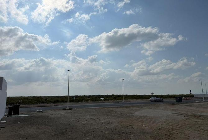 16162198 - Property Image 3