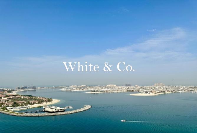 98679412 - Property Image 3