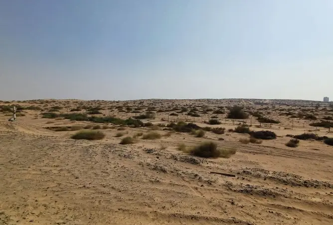 141446591 - صورة العقار 2