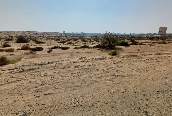 141446591 - صورة العقار 3