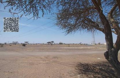 Land - Studio for sale in Manama - Ajman