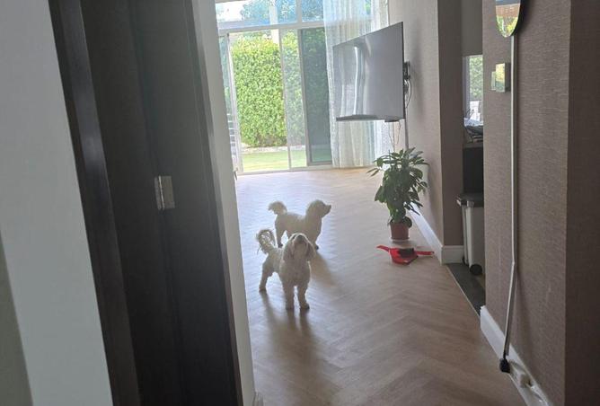 72306920 - صورة العقار 3