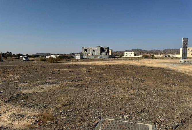 16263839 - Property Image 3