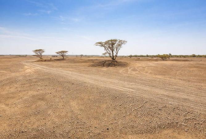 80675602 - الصورة الرئيسية للعقار