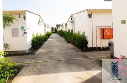 Bulk Rent Unit - Studio - 7+ Bathrooms for rent in Al Awadhi Tower - Sheikh Hamad Bin Abdullah St. - Fujairah