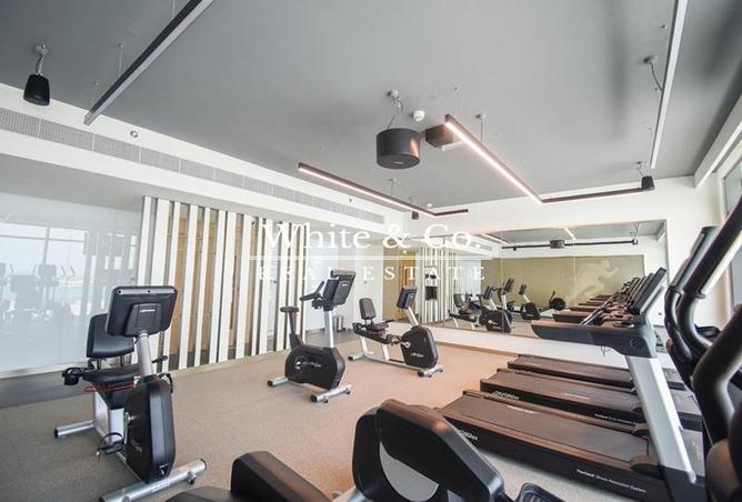 16306594 - Property Image 2