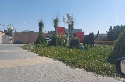Apartment - 1 Bedroom - 1 Bathroom for rent in Wadi AL AIN 1 - Al Noud - Al Ain