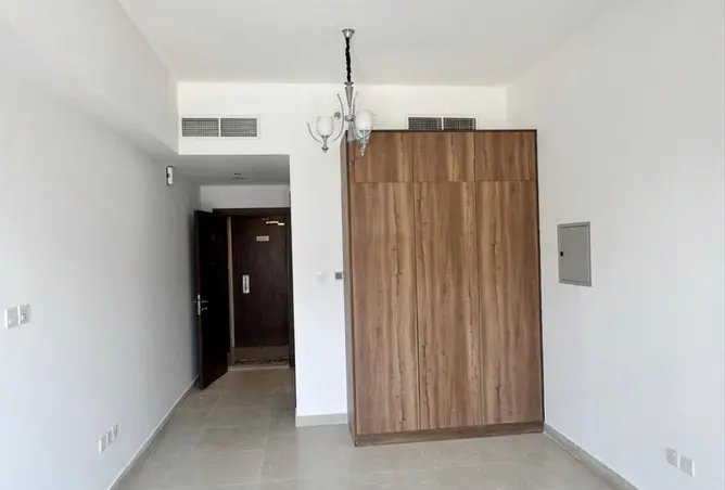 162335837 - Property Image 3