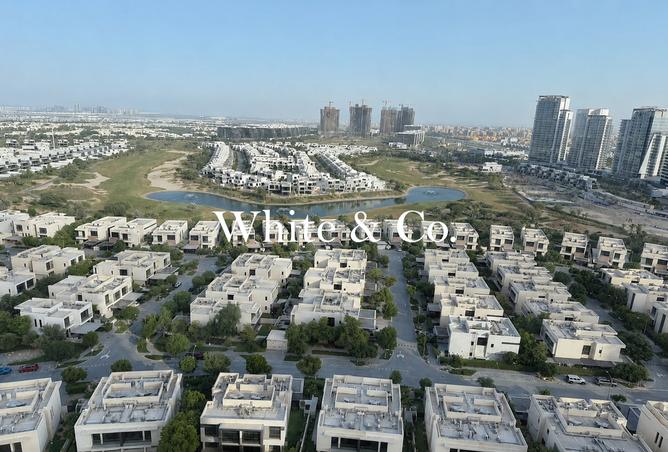 117263697 - Property Image 2