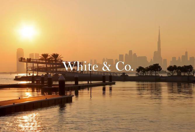 16130645 - Property Image 2