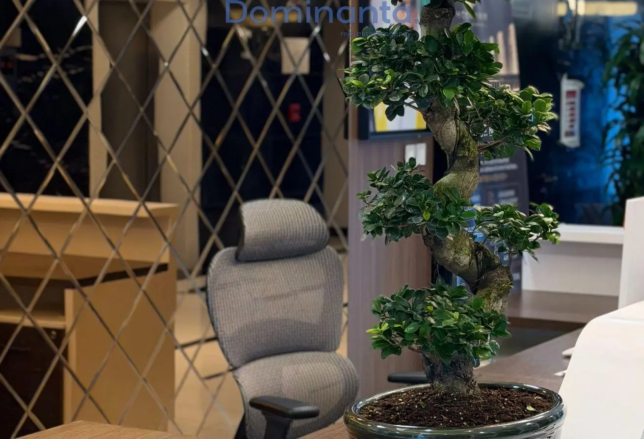 146466380 - Property Main Image