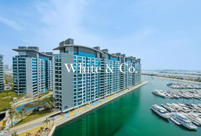 80267509 - صورة العقار 3