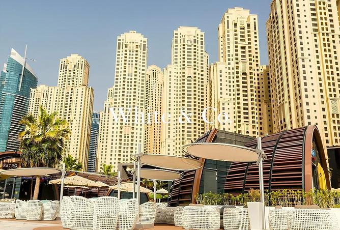 53574885 - Property Image 2