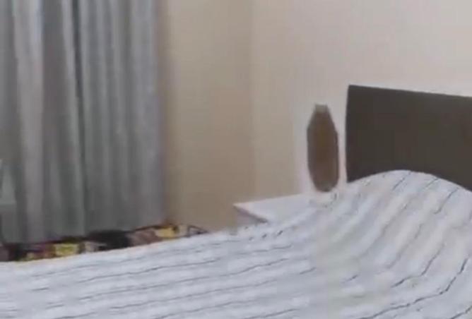 63654689 - صورة العقار 2