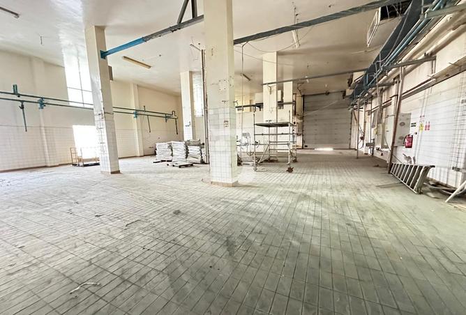 115934951 - Property Image 3