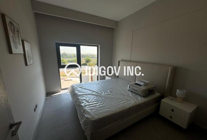 16252728 - Property Image 3