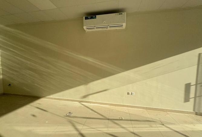 16027956 - Property Image 3