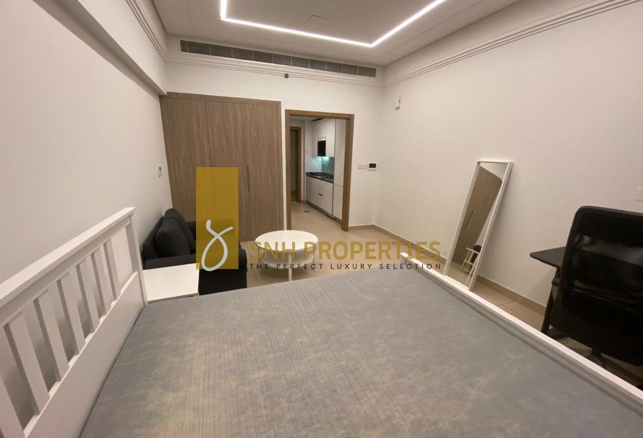 FULLY FURNISHED |SPACIOUS STUDIO |READY TO MOVE IN photo 4