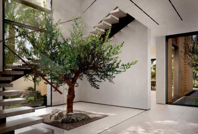 54397283 - صورة العقار 2