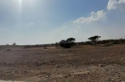 أرض - استوديو للبيع في المنامة - عجمان