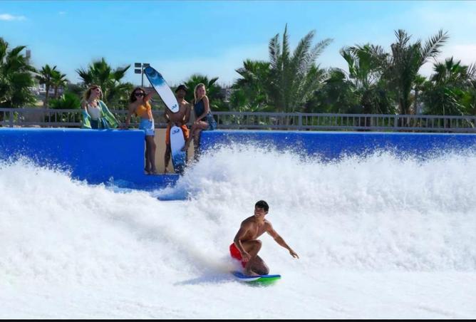 53593642 - صورة العقار 2