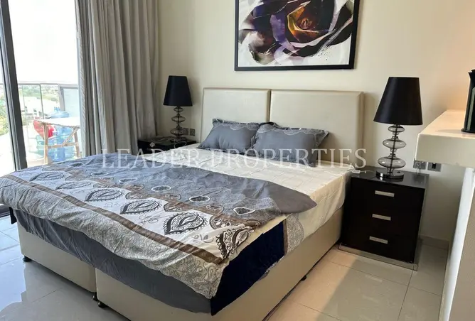 165496295 - Property Image 2