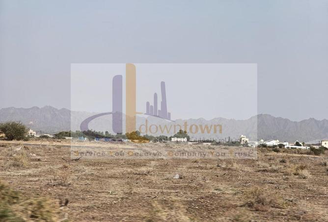 54396151 - Property Image 2