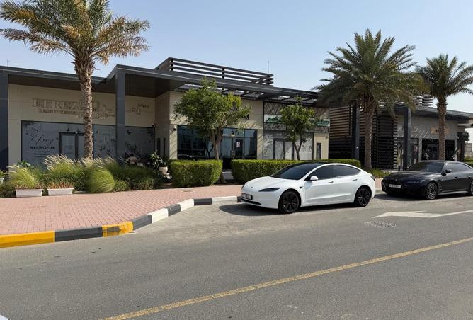86191887 - صورة العقار 2