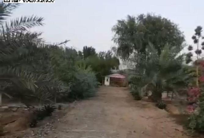 85305930 - صورة العقار 2
