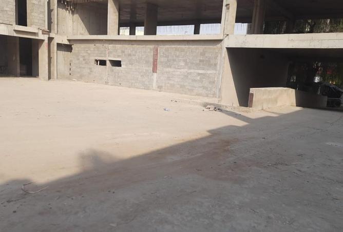 110962430 - Property Image 3