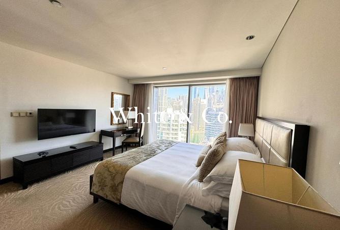 16243091 - Property Image 2