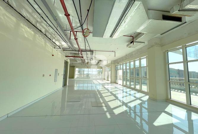 16223196 - Property Image 3