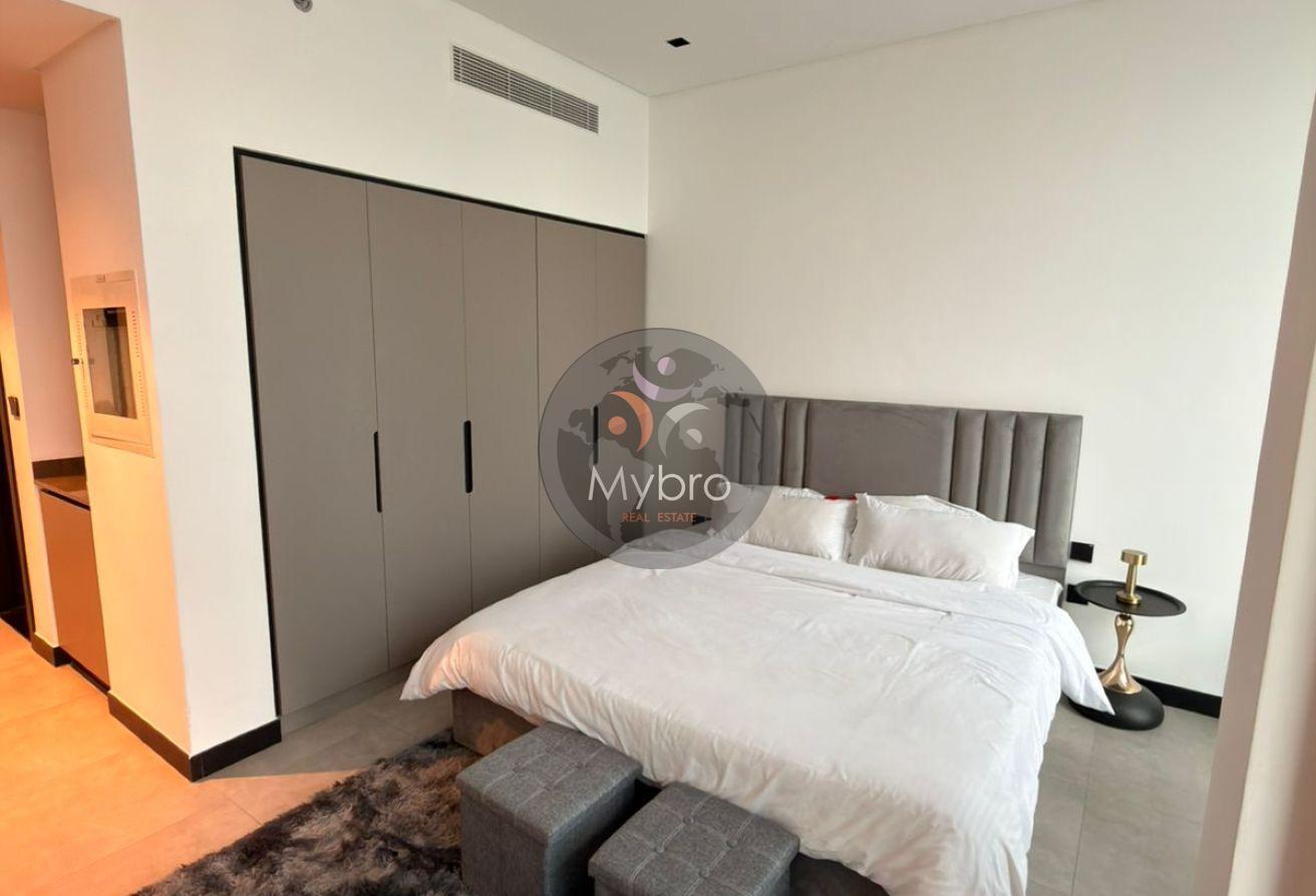Studio /Fully Furnished / Luxurious photo 2