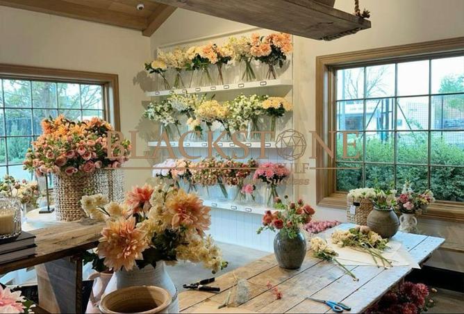 65557804 - Property Main Image