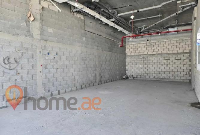 112751969 - Property Image 3