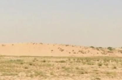 Land - Studio for sale in Muhadhab - Sharjah