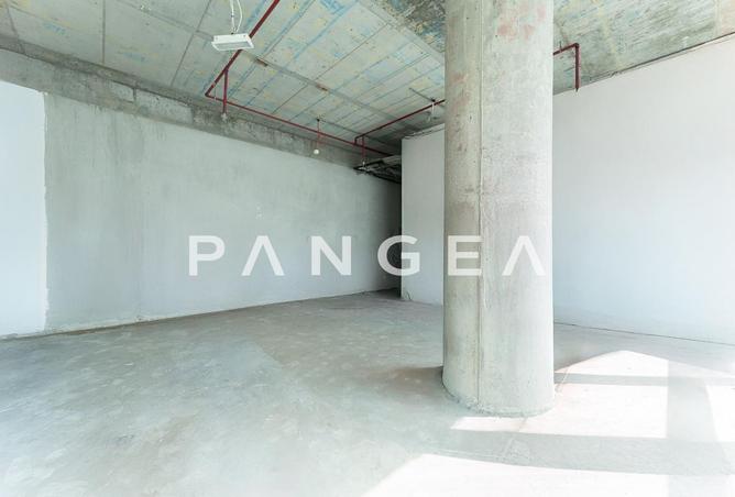 16144565 - صورة العقار 3