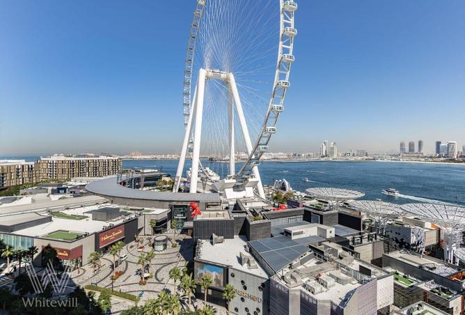 16217068 - صورة العقار 2