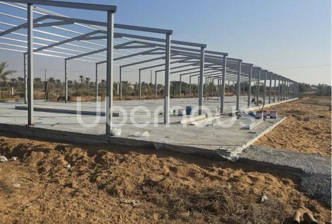 16218555 - Property Image 2