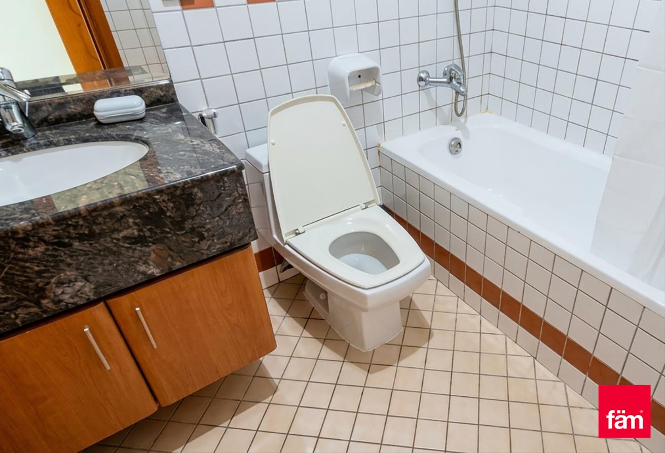 Available On 31 Aug I With Appliances I Two Pool photo 9