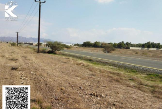 16227460 - Property Image 2