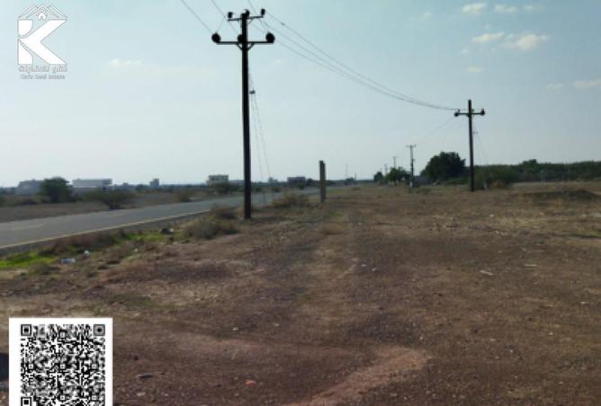 16227460 - Property Image 3