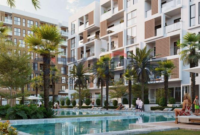 16213074 - Property Image 2