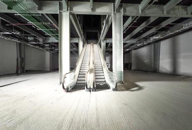 16258558 - Property Image 2