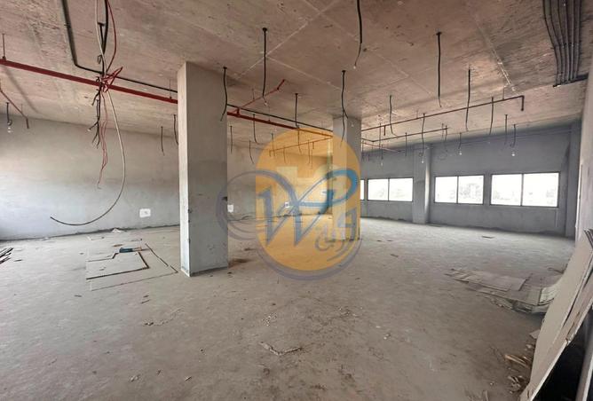 114175096 - Property Image 3
