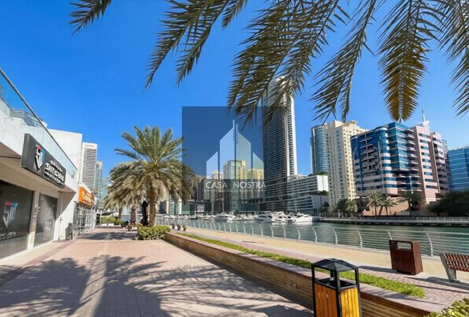 56544445 - الصورة الرئيسية للعقار