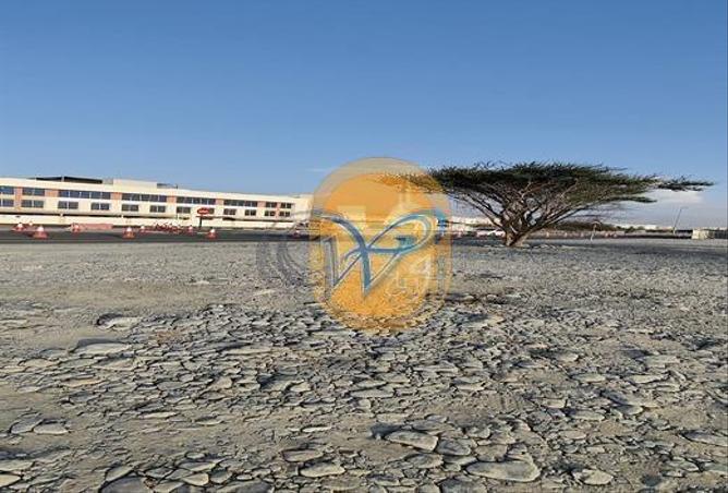 73114594 - صورة العقار 2