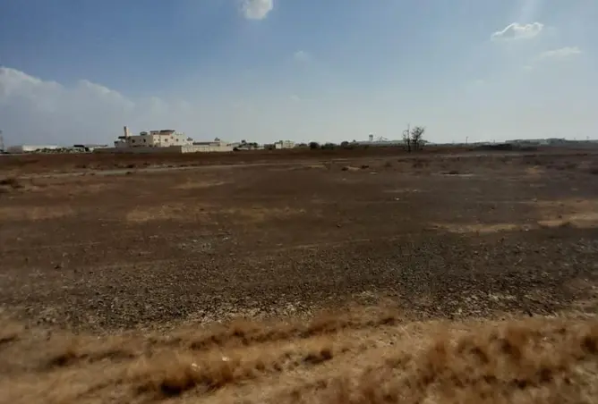 110498442 - Property Image 3