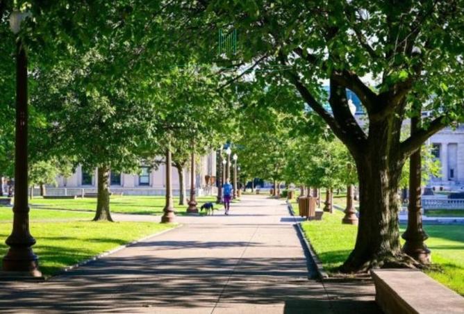 16278654 - Property Image 2