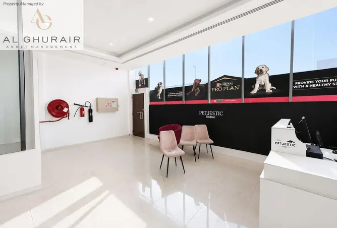 146436240 - Property Image 3
